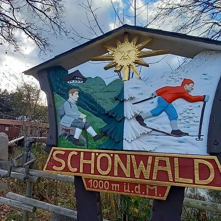 Eule Schoenwald im Schwarzwald